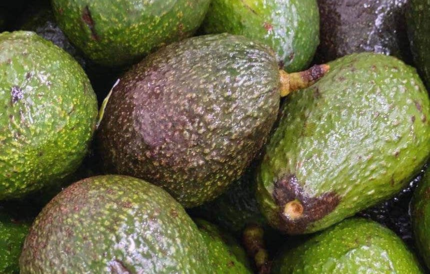 Good Foods - Avocados