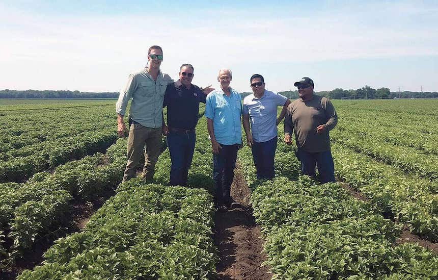 Good Foods - Farmers